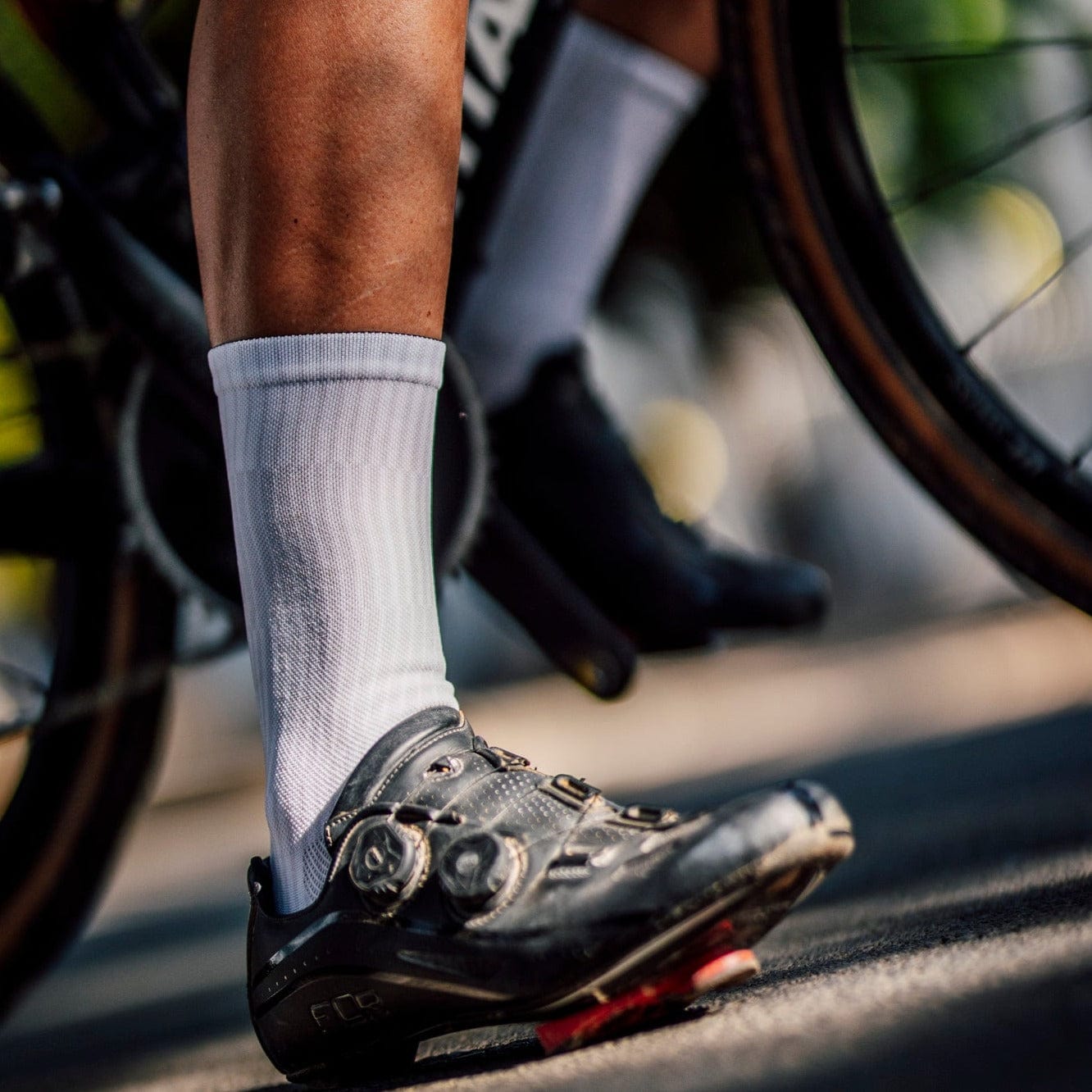 botthms Slight White Socks Crew Socks